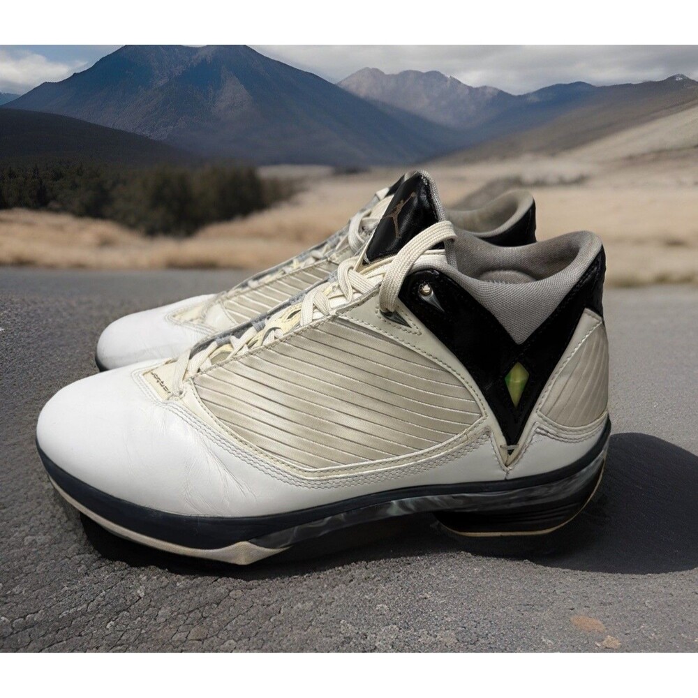 Nike Air Jordan 343084 161 White Metallic 2009 Shoe Silver Men Size 11 Preowned